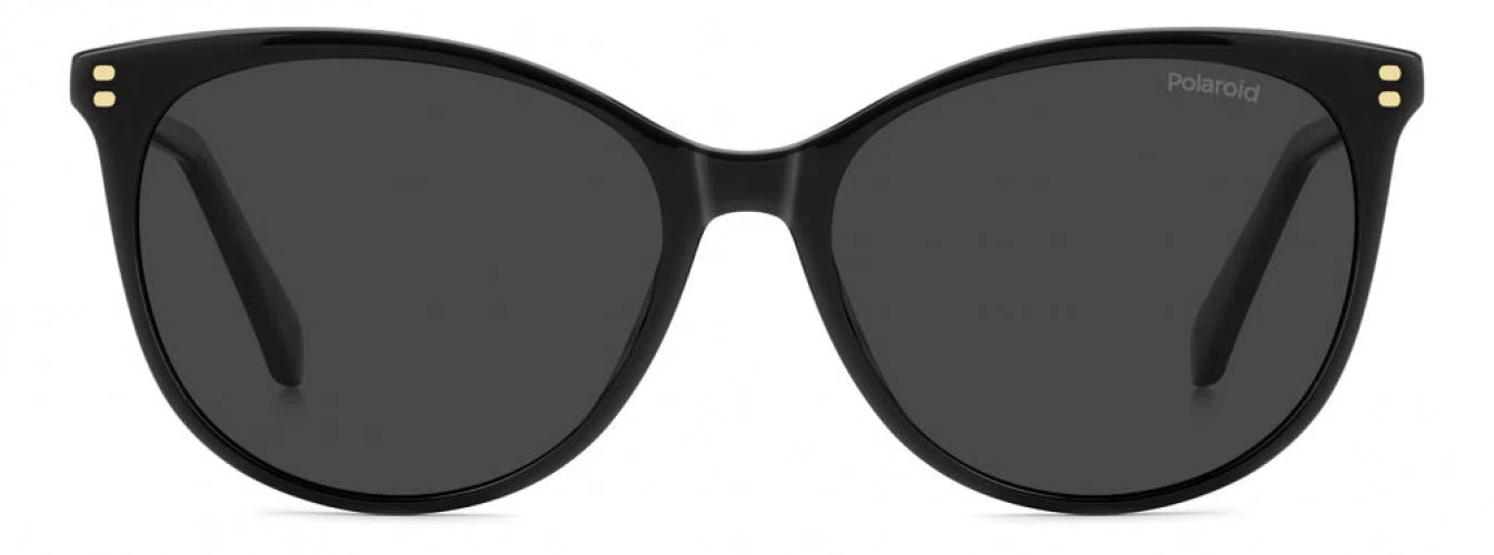 Polaroid Core PLD4200 Sunglasses - view 2
